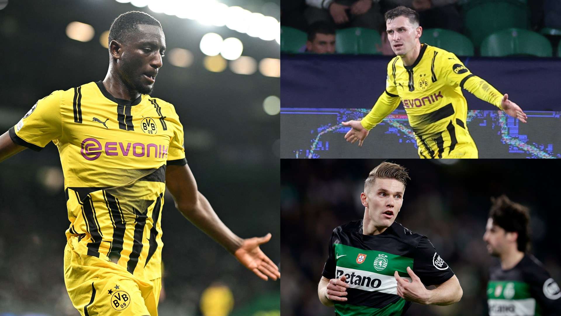 也彰显了她 也彰显了她